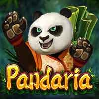 SLOT THAILAND Dragoonsoft